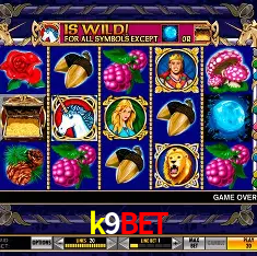 Descubra o Mundo do Cassino Online com k9bet